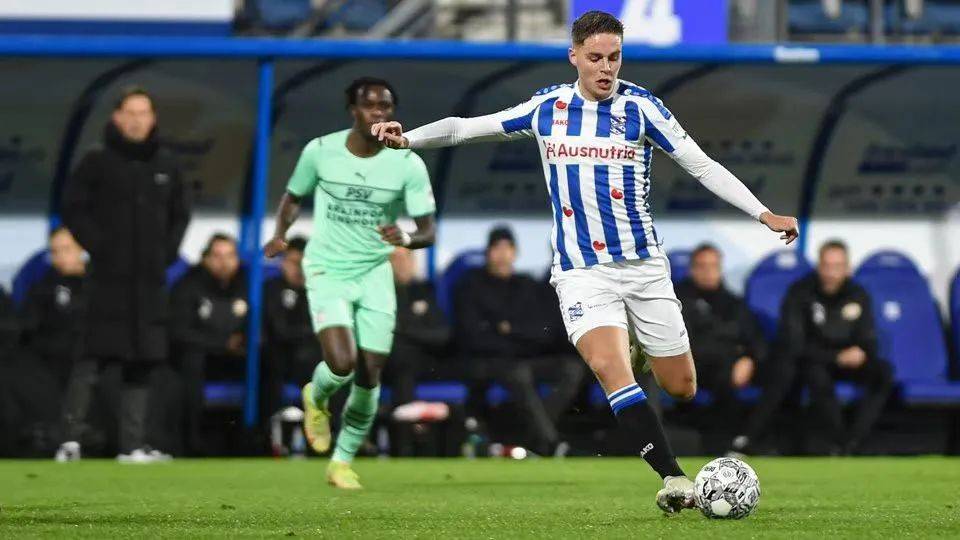 风险与机会 风险与机会