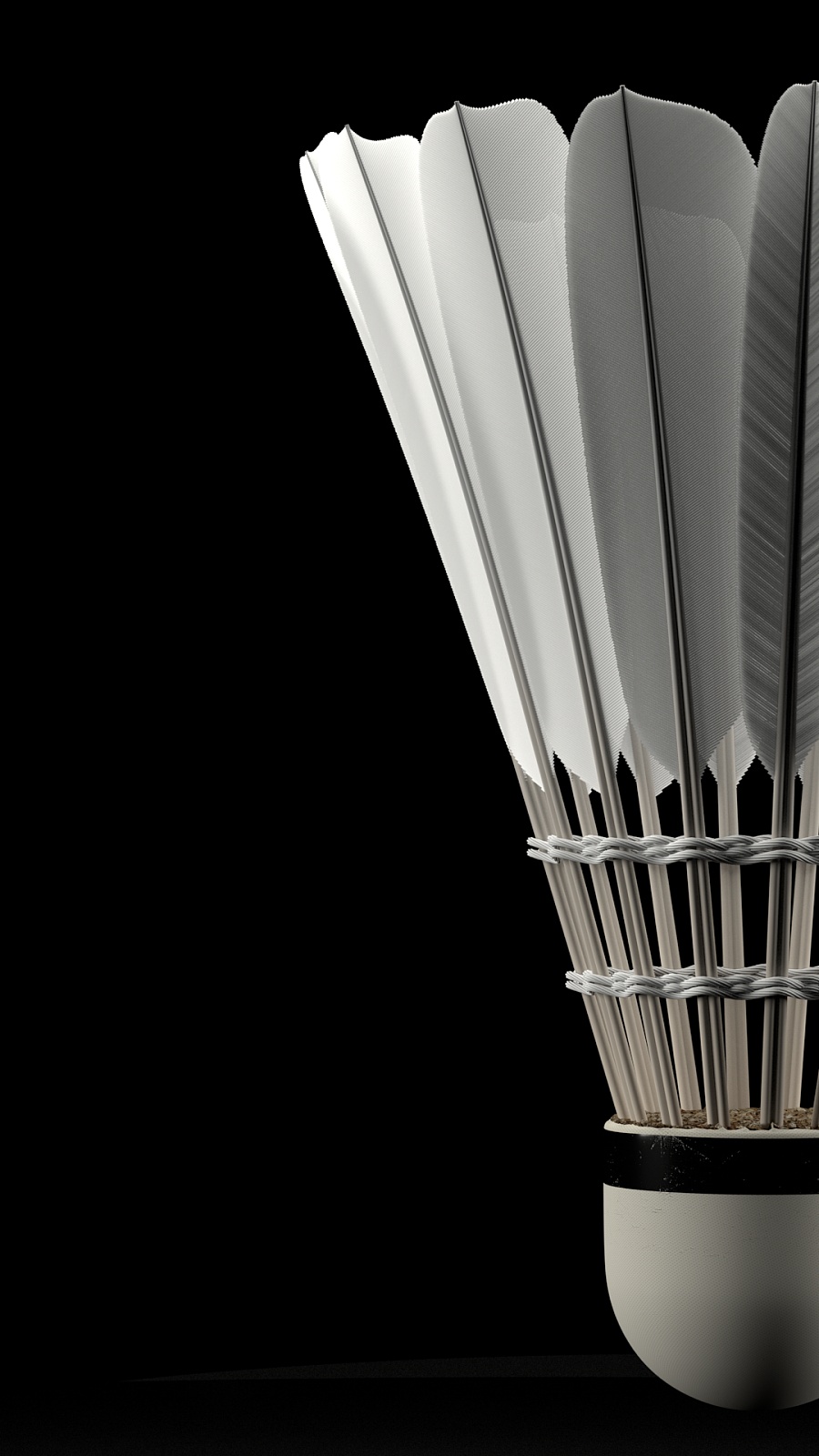 为了靠近N 为了靠近N