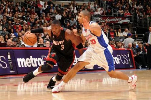 的领导下 的领导下