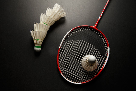 了各色各样 了各色各样